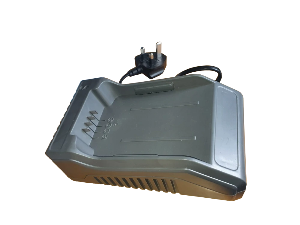 (image for) 36V Battery charger for Ryno machines